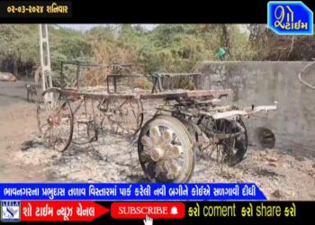 ભાવનગરના પ્રભુદાસ તળાવ વિસ્તારમાં પાર્ક કરેલી નવી બગીને કોઈએ સળગાવી દીધી