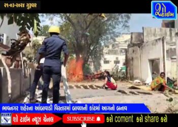 ભાવનગરના આંબાવાડી વિસ્તારમાં બાવળની કાંટમાં આગનો બનાવ