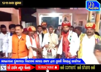 ભાવનગરના કુંભારવાડા વિસ્તારમાં ભરવાડ સમાજ દ્વારા તુલસી વિવાહનું આયોજન