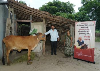 મોદીના 76મા જન્મદિને 76 મહિલાઓને 76 સ્વસ્થ દેશી ગીર ગાયો ભેટ અપાશે: મુખ્યમંત્રી હાજર રહેશે