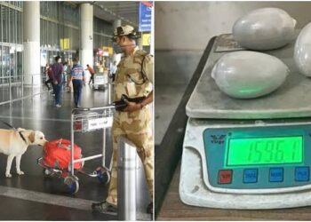 દિલ્હીના IGI એરપોર્ટ પર રૂ.1.88 કરોડના સોના સાથે બાંગ્લાદેશી નાગરિક ઝડપાયો